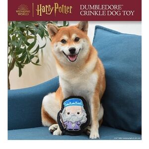 NEW Harry Potter 6" Dumbledore Crinkle Dog Toy